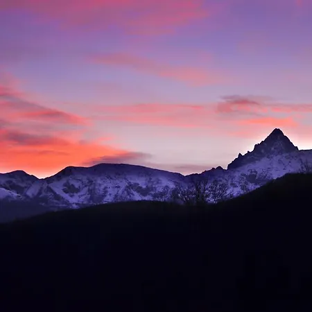 巴西亚斯住宿加早餐旅馆 * 皮内罗洛